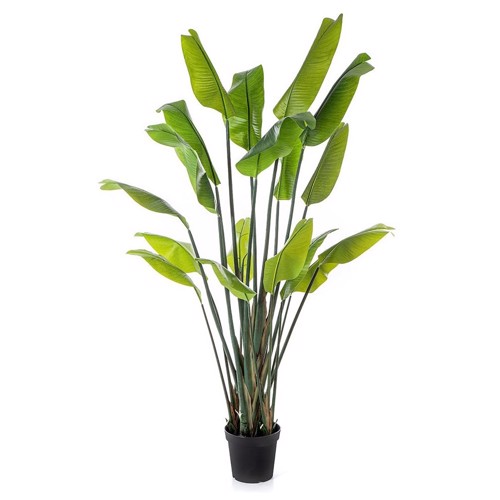 Planta artificiala Strelitzia Palm in ghiveci - 200 cm