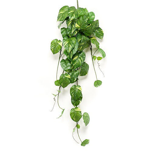 Planta artificiala curgatoare Pothos verde-crem - 135 cm