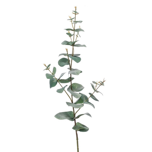 Ramura eucalipt artificial verde pudrat - 68 cm
