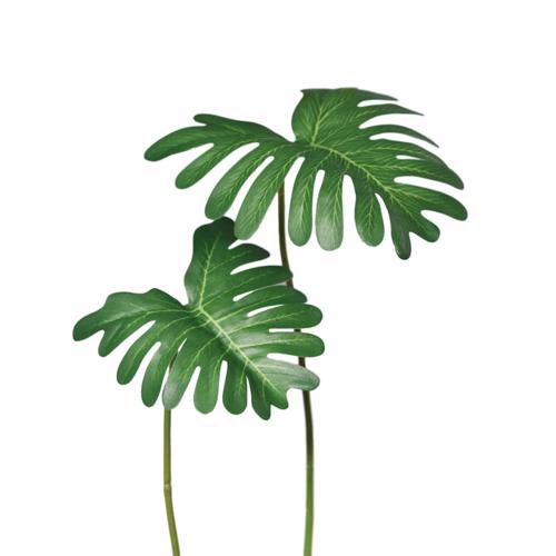 Set x2 frunze artificiale de Filodendron verde - 15/18 cm