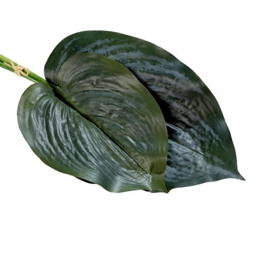 Set x2 frunze artificiale Hosta/ crinul de toamna verde - 36 cm