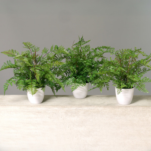 Set x3 feriga artificiala decorativa asortata verde in ghiveci - 30 cm