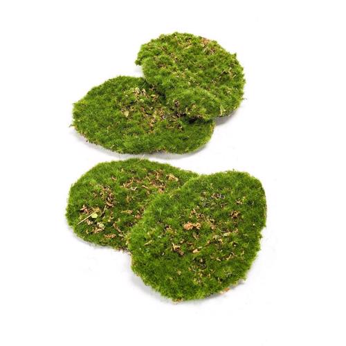 Set x4 muschi artificiali decorativi verzi 15x10cm 