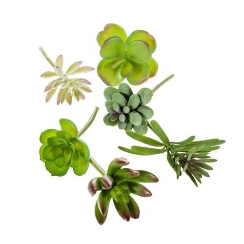 Set x6 plante suculente artificiale decorative