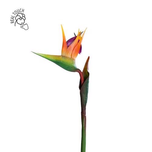 Strelitzia / pasarea paradisului artificiala portocaliu-mov - 62 cm