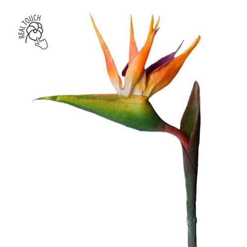 Strelitzia / pasarea paradisului artificiala portocaliu-mov  - 80 cm