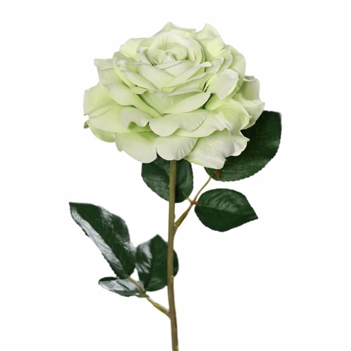 Trandafir artificial verde-crem - 56 cm