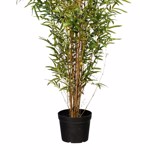 Bambus artificial decorativ cu trunchi natural - 150 cm