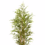 Bambus artificial decorativ x8 cu trunchi natural - 210 cm