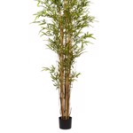 Bambus artificial decorativ x8 cu trunchi natural - 210 cm