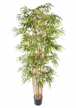 Bambus artificial Deluxe x15 in ghiveci - 205 cm