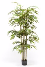 Bambus artificial decorativ x7 in ghiveci - 150 cm