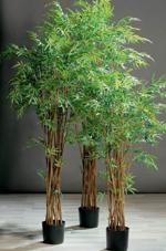 Bambus artificial in ghiveci negru - 150 cm