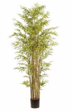 Bambus artificial Japonez Multi x21 in ghiveci - 210 cm