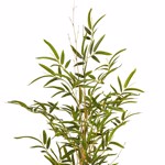 Bambus artificial MINI cu trunchi natural - 70 cm