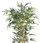 Bambus artificial verde x6 cu trunchi natural - 150 cm