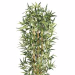 Bambus artificial verde x6 cu trunchi natural - 210 cm