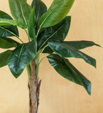 Bananier artificial decorativ in ghiveci - 110 cm