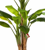 Bananier artificial decorativ in ghiveci - 180 cm