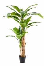 Bananier artificial decorativ x3 in ghiveci - 210 cm
