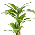 Bananier artificial decorativ x3 in ghiveci - 210 cm