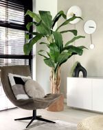 Bananier artificial decorativ x3 in ghiveci - 210 cm