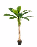 Bananier artificial in ghiveci - 150 cm