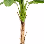 Bananier artificial in ghiveci - 150 cm