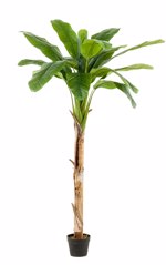 Bananier artificial in ghiveci - 180 cm