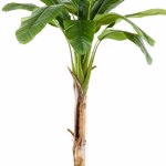 Bananier artificial in ghiveci - 180 cm
