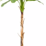 Bananier artificial in ghiveci - 210 cm