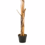 Bananier artificial in ghiveci - 210 cm
