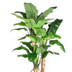 Bananier artificial x3 in ghiveci - 280 cm
