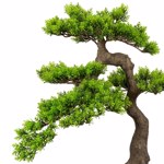 Bonsai artificial Cedar Han-Kengai in ghiveci - 52 cm