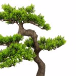 Bonsai artificial Cedar Han-Kengai in ghiveci - 52 cm