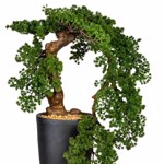 Bonsai artificial Cedar Han-Kengai in ghiveci - 90 cm