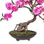 Bonsai artificial cu flori in ghiveci ceramic - 50 cm