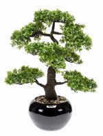 Bonsai artificial decorativ Ficus in ghiveci ceramic - 47 cm