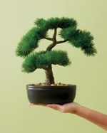 Bonsai artificial decorativ Pinus in ghiveci ceramic - 32 cm