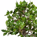 Bonsai artificial Ficus in ghiveci ceramic - 50 cm