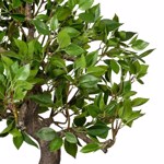 Bonsai artificial Ficus in ghiveci ceramic - 50 cm