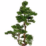 Bonsai artificial Larch in ghiveci - 155 cm