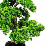 Bonsai artificial Larch x11 in ghiveci ceramic - 60 cm