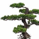 Bonsai artificial Leaf in ghiveci - 65 cm