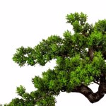 Bonsai artificial Myrtle in ghiveci - 40 cm
