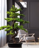 Bonsai artificial Myrtle in ghiveci - 85 cm