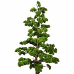 Bonsai artificial Pine in ghiveci - 140 cm
