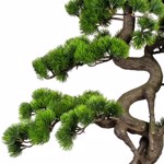 Bonsai artificial Pine in ghiveci - 65 cm