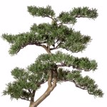 Bonsai artificial Pine in ghiveci - 90 cm