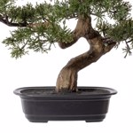 Bonsai artificial Pine in ghiveci din plastic - 40 cm